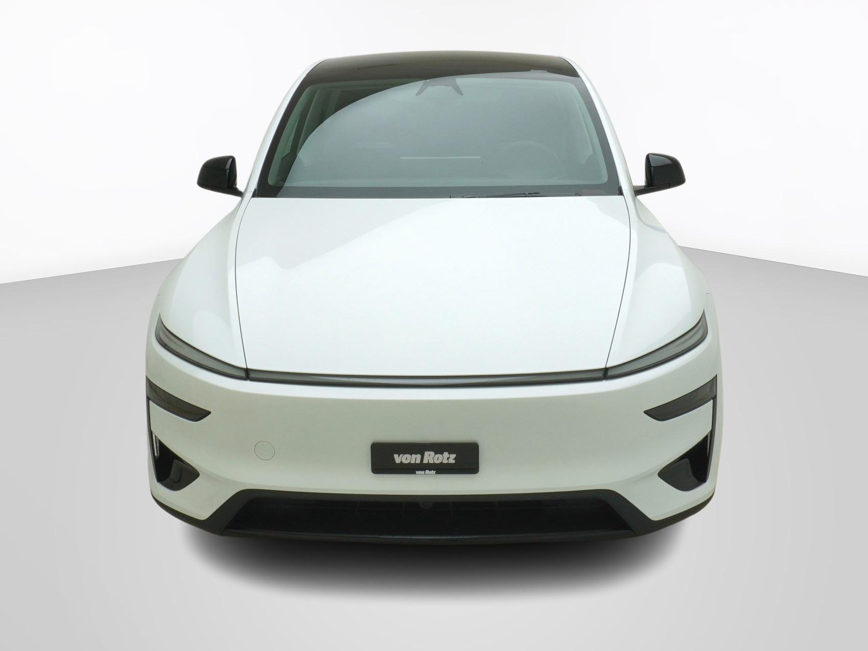 TESLA Model Y Performance AWD-image-6
