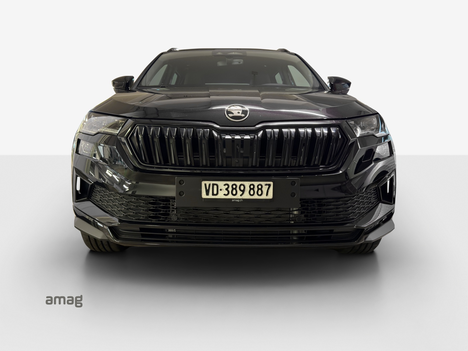 SKODA Karoq 2.0 TSI SportLine 4x4 DSG-image-6