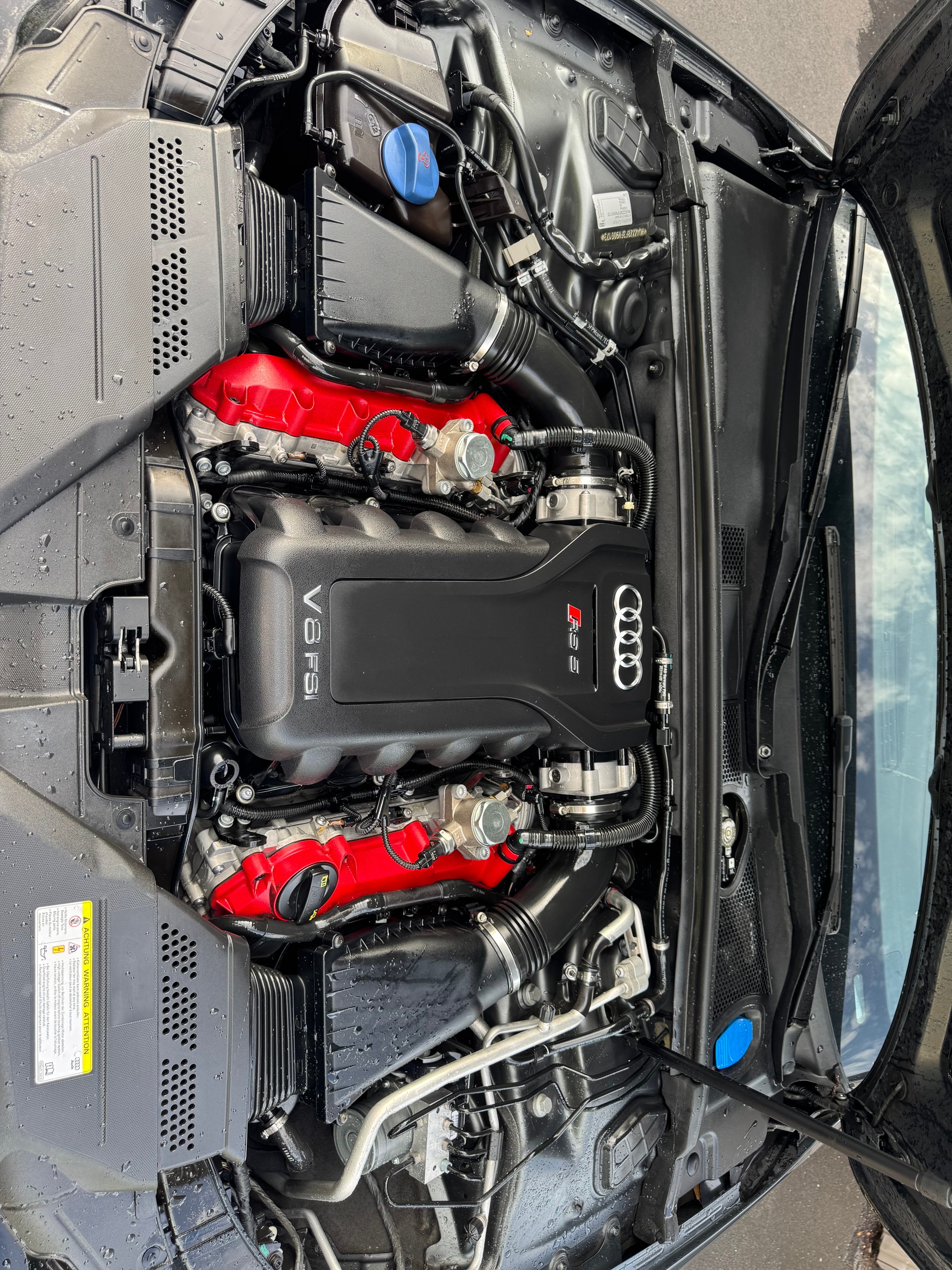 AUDI RS5 4.2 V8 FSI quattro S-Tronic-image-5