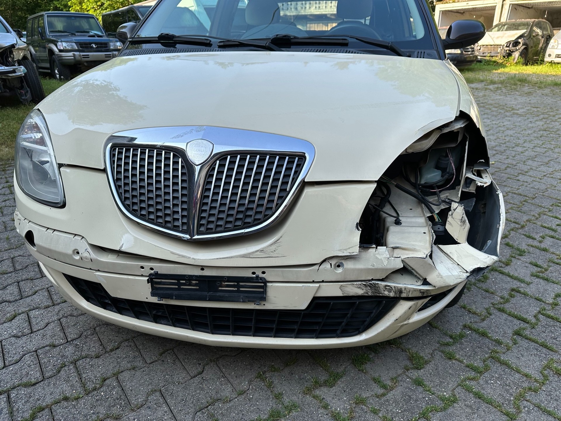 LANCIA Ypsilon 1.2 FIXPREIS-showroom-element-2