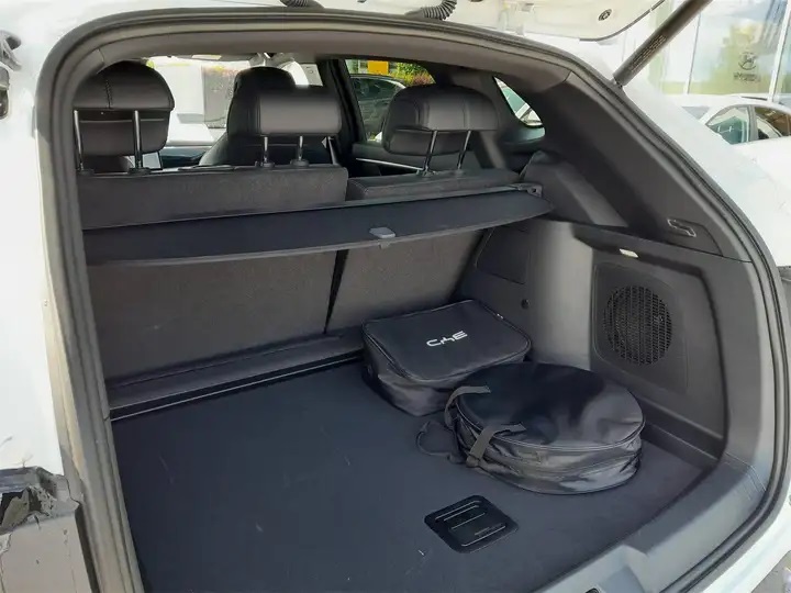 BYD Seal U "Design" EV-image-9