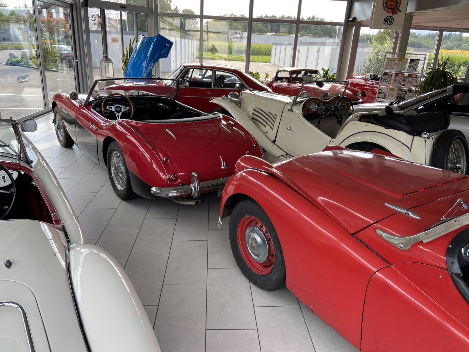 AUSTIN-HEALEY 3000 BT7 Veteran-image-3