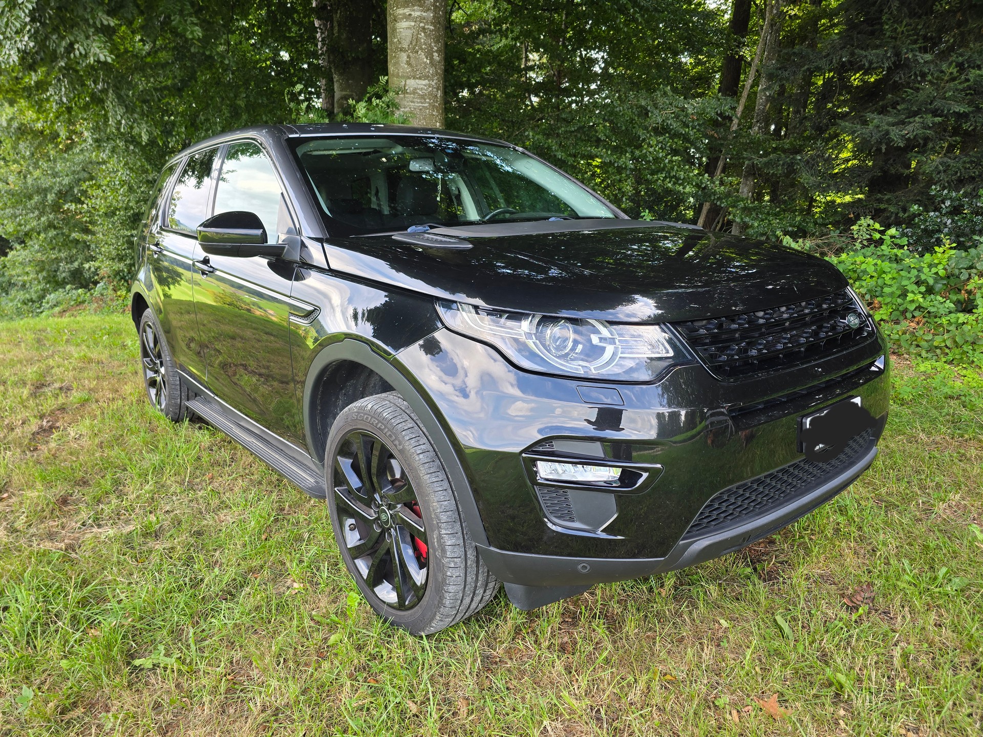 LAND ROVER Discovery Sport 2.0 TD4 SE AT9-image-2
