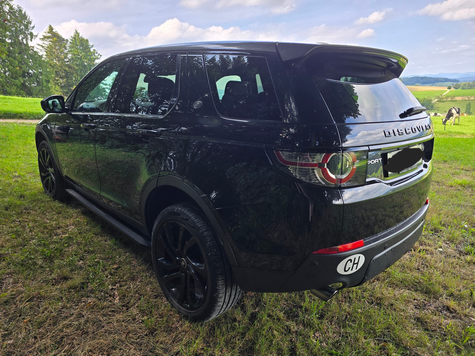 LAND ROVER Discovery Sport 2.0 TD4 SE AT9-image-1