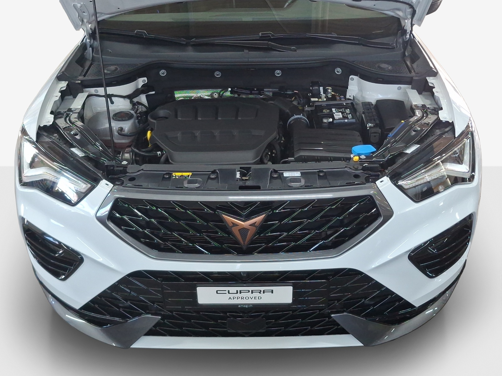 CUPRA Ateca 2.0TSI 4Drive DSG-image-15