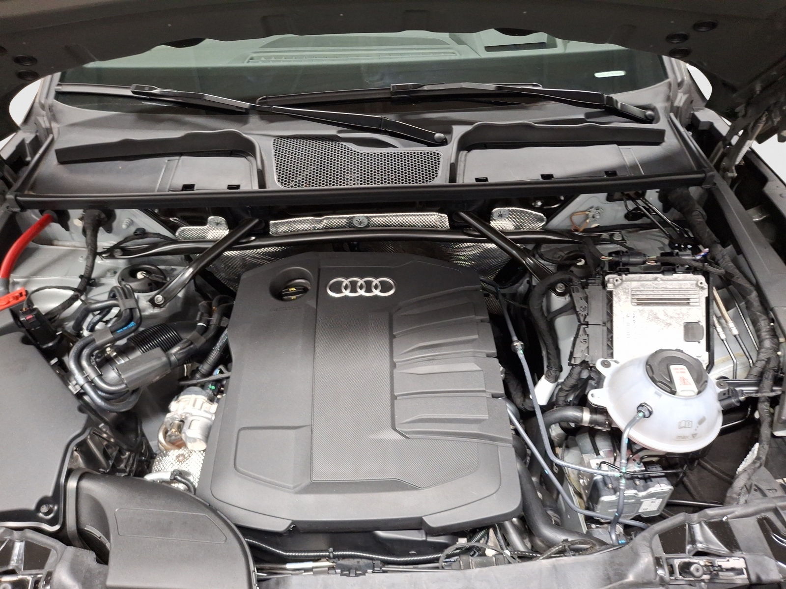 AUDI Q5 40 TDI Black Edition quattro S-tronic-image-15