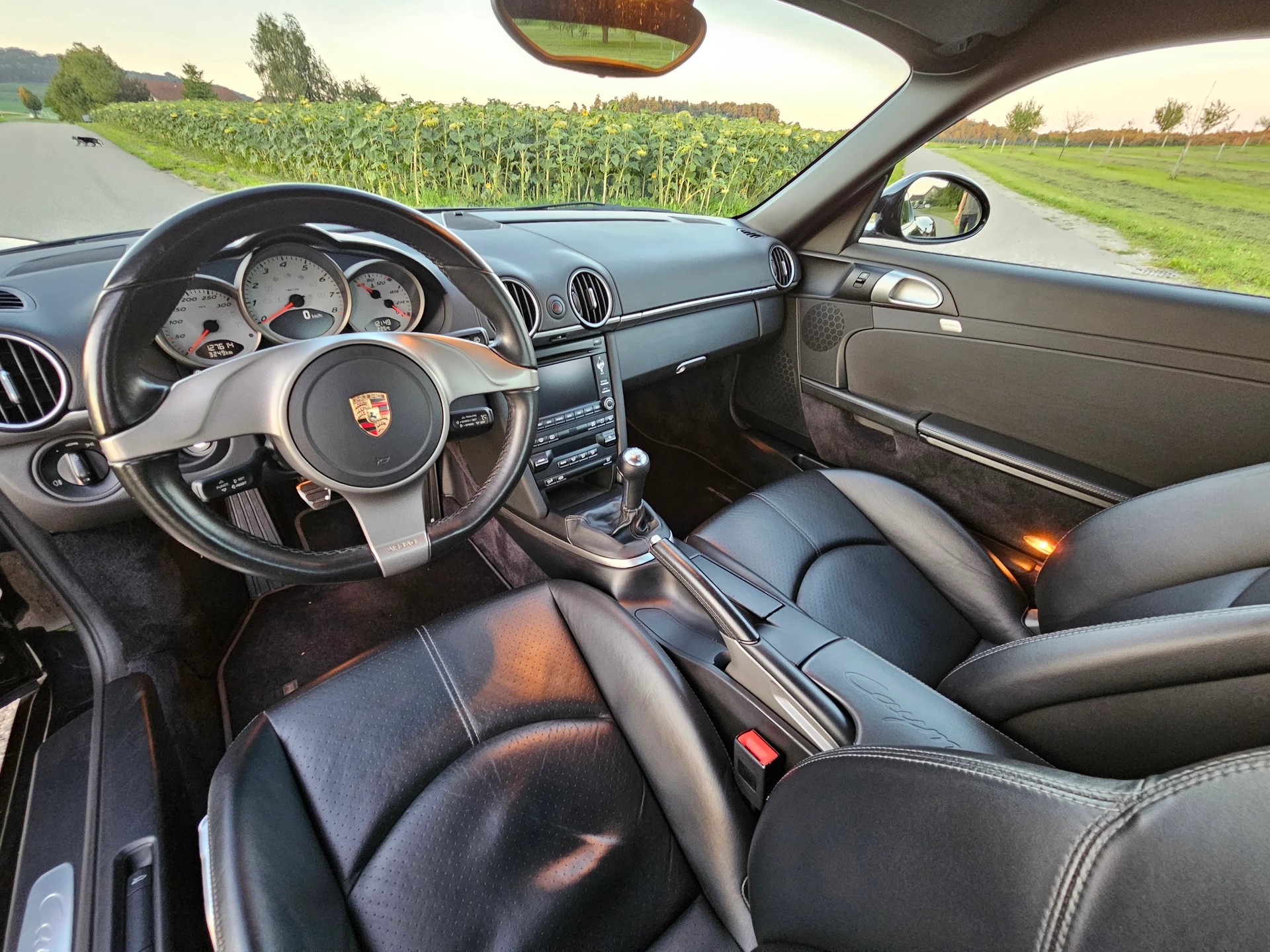 PORSCHE Cayman S 3.4-image-15