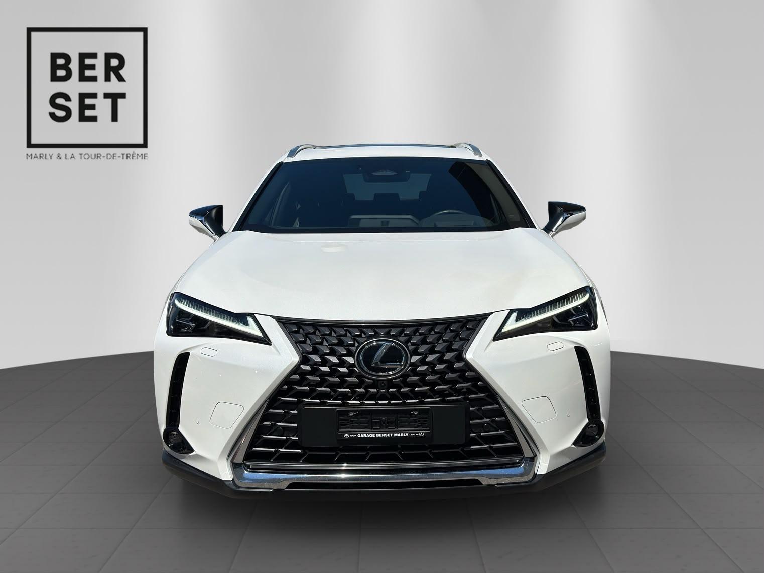 LEXUS UX 300h Excellence-image-6