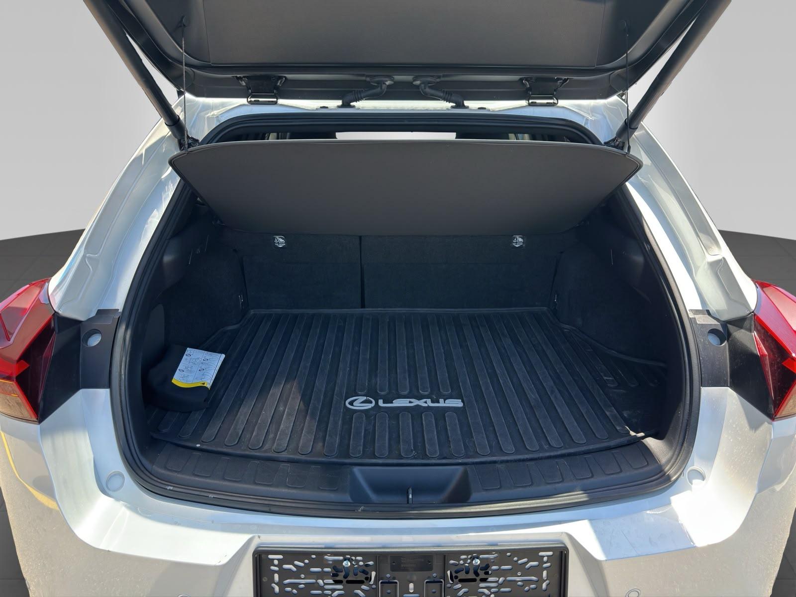 LEXUS UX 300h Excellence-image-8