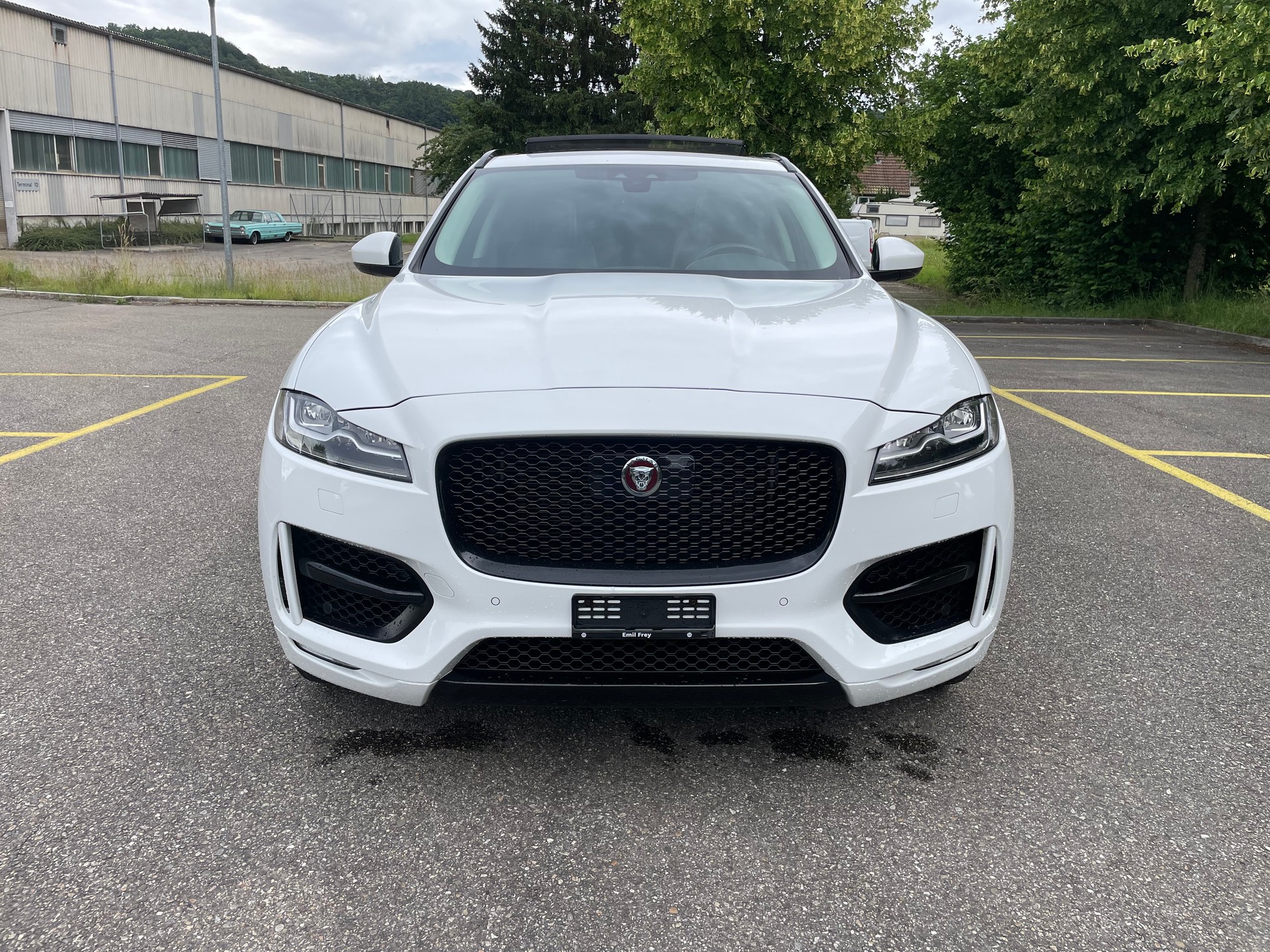 JAGUAR F-Pace 25t 2.0 R-Sport AWD Automatik-image-1