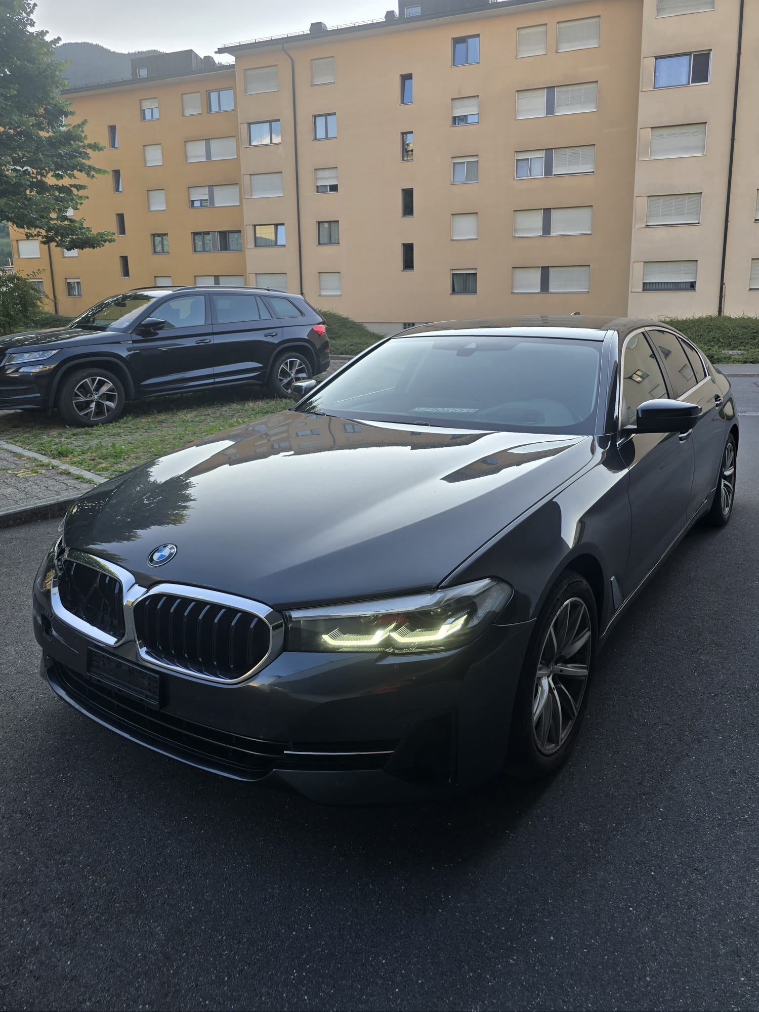 BMW 520d xDrive paddles-image-2