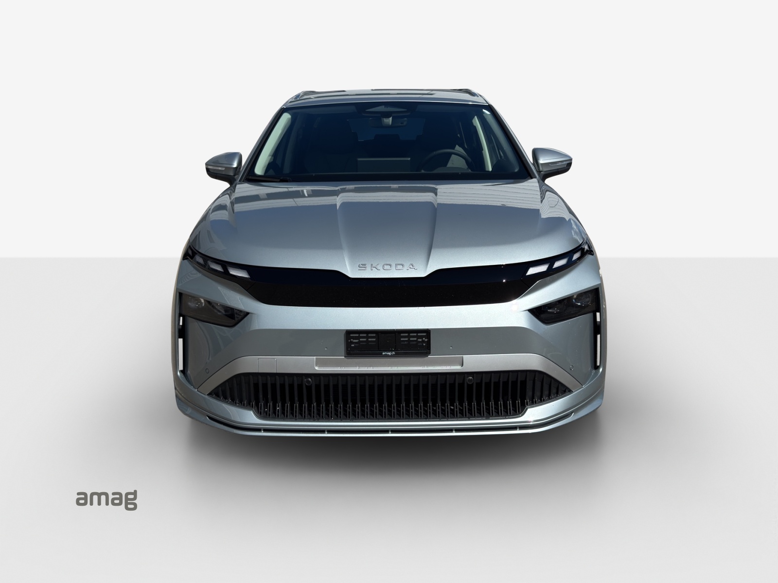 SKODA Enyaq 85x Dynamic 4x4-image-6