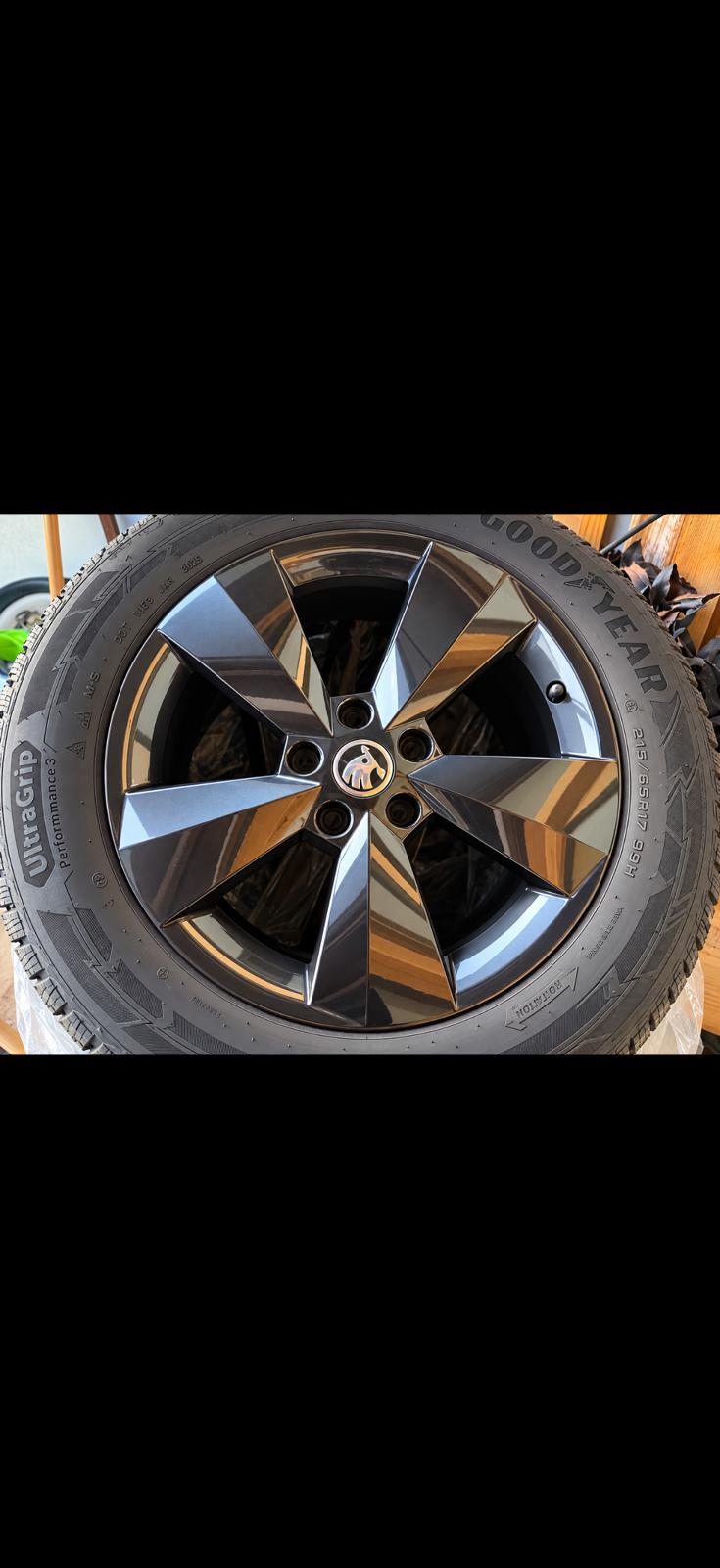SKODA 2.0 Bi-TDI 240 RS DSG-image-5