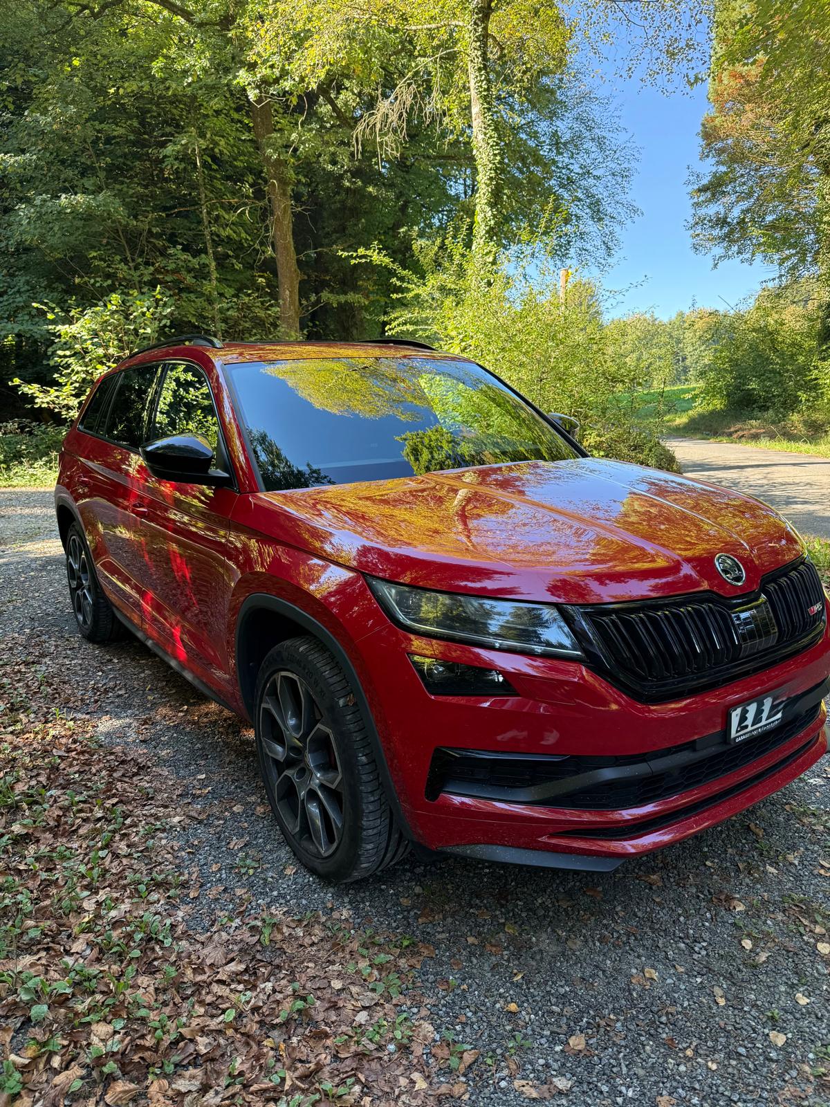 SKODA 2.0 Bi-TDI 240 RS DSG-image-2