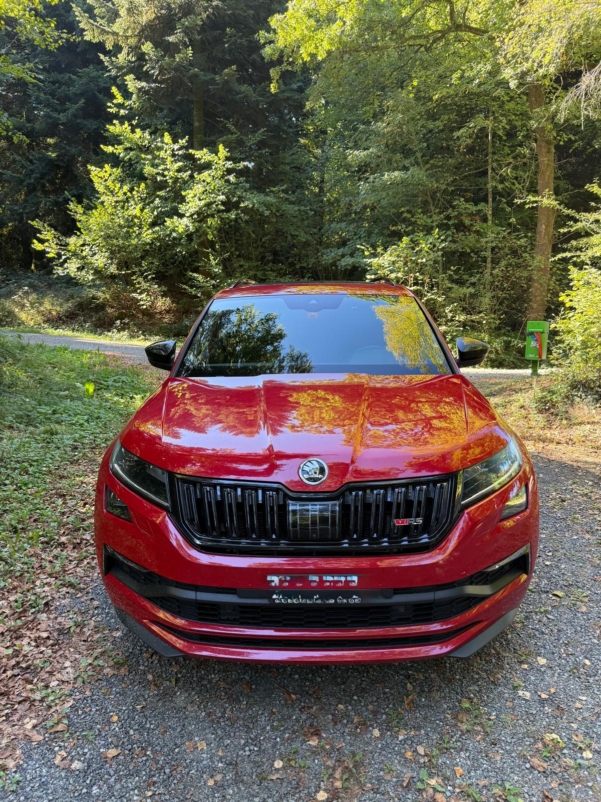 SKODA 2.0 Bi-TDI 240 RS DSG-image-6