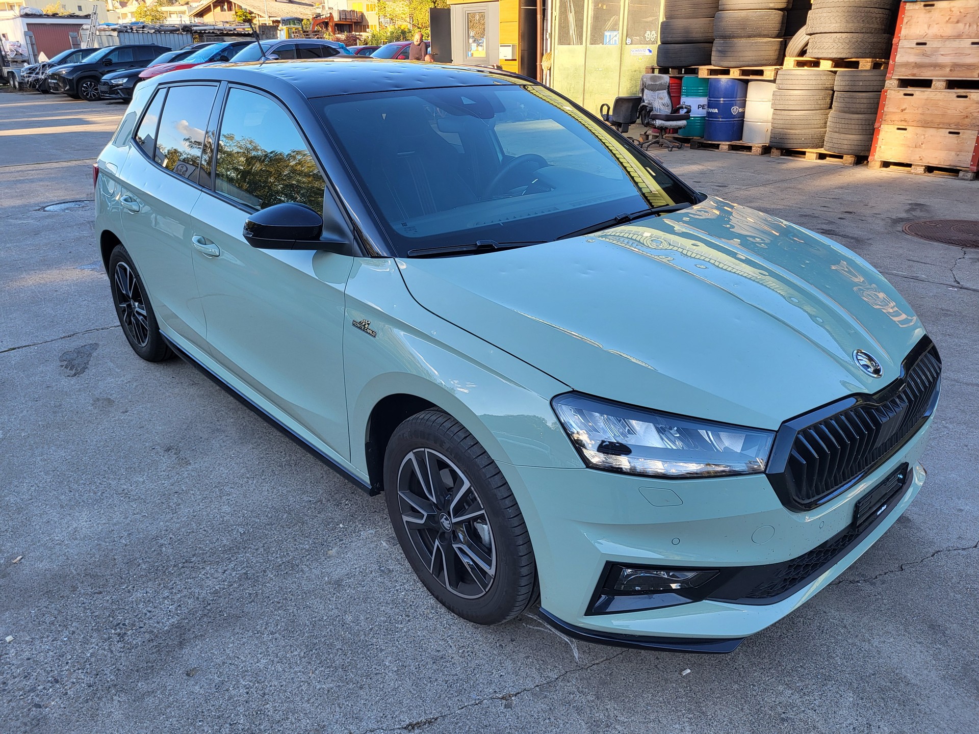 SKODA Fabia 1.0 TSI Monte Carlo DSG-image-7