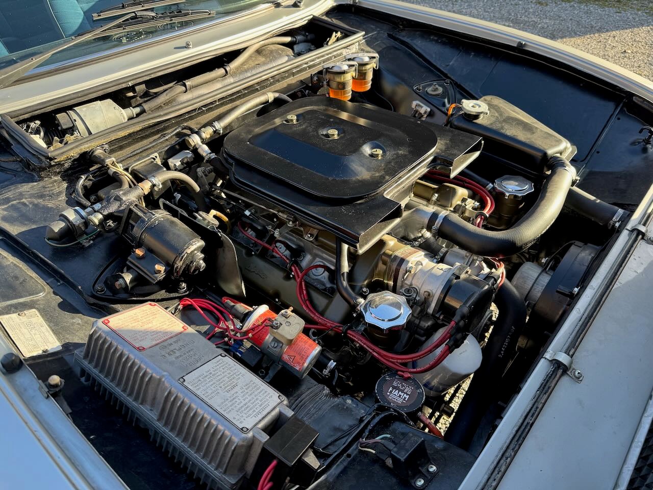 FIAT 135 Dino 2400-image-12
