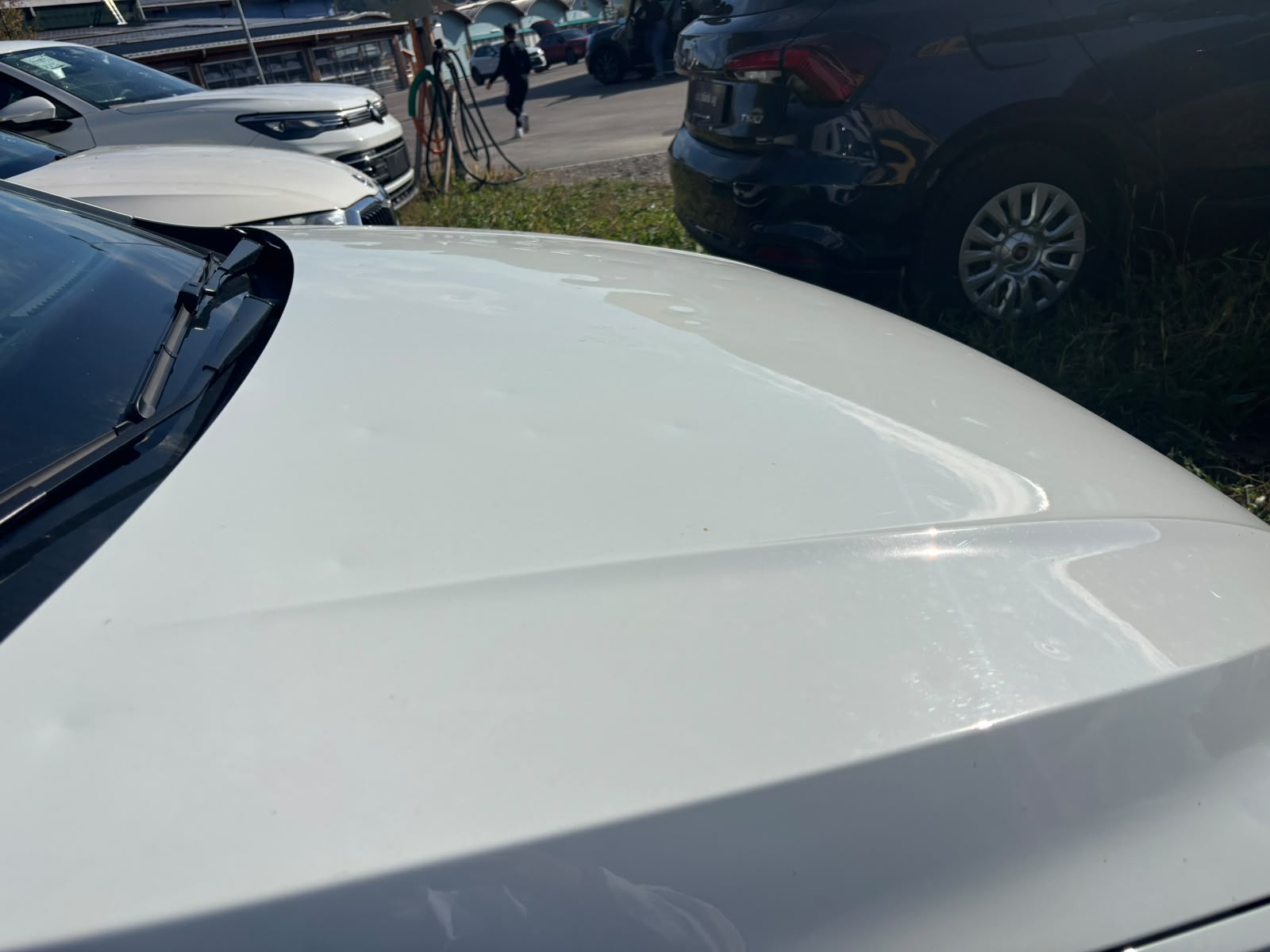 VW Polo 1.0 TSI Life DSG-image-13