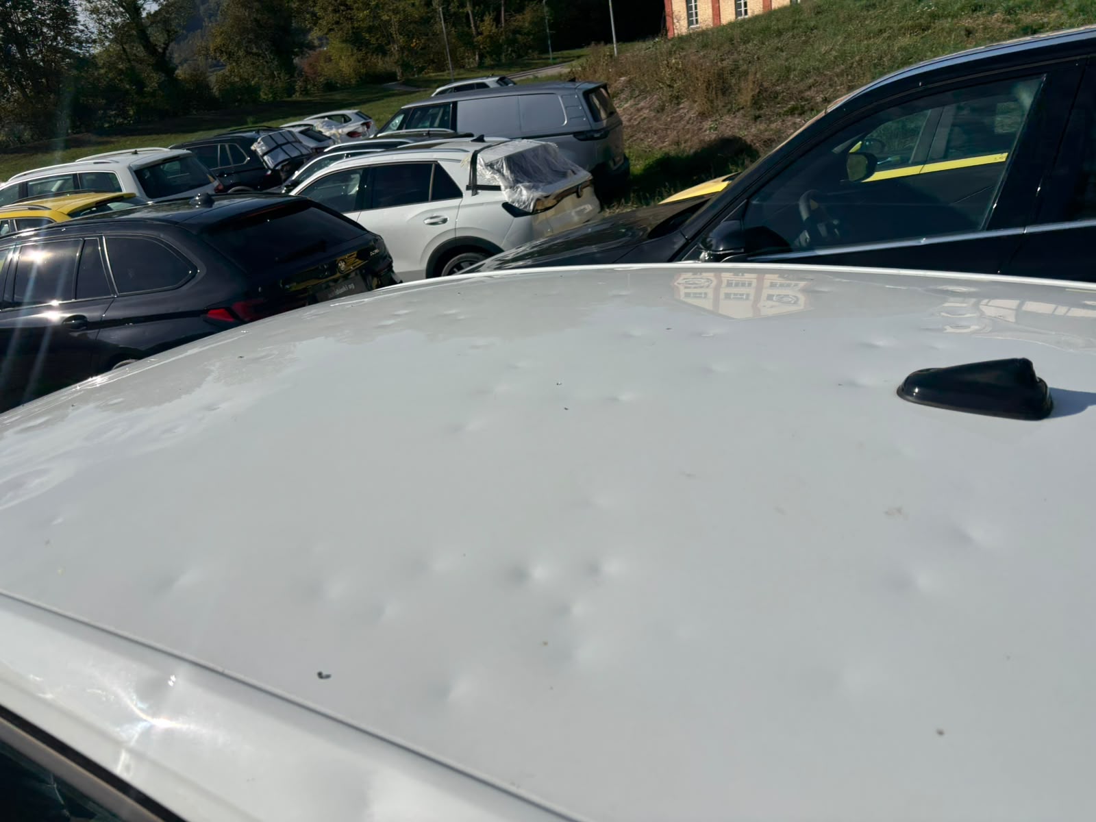 VW Polo 1.0 TSI Life DSG-image-10