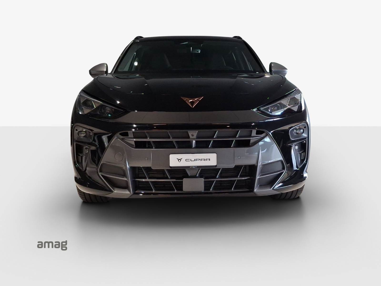 CUPRA Terramar 2.0 TSI DSG 4Drive VZ-image-6