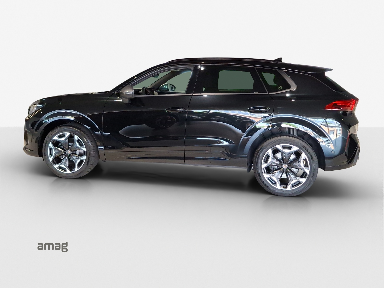 CUPRA Terramar 2.0 TSI DSG 4Drive VZ-image-1