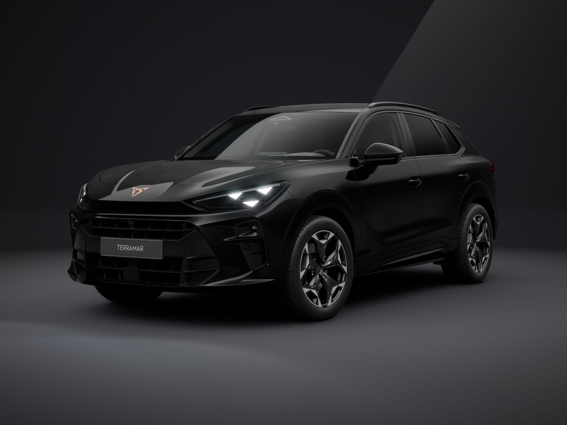 CUPRA Terramar 2.0 TSI DSG 4Drive VZ-image-0