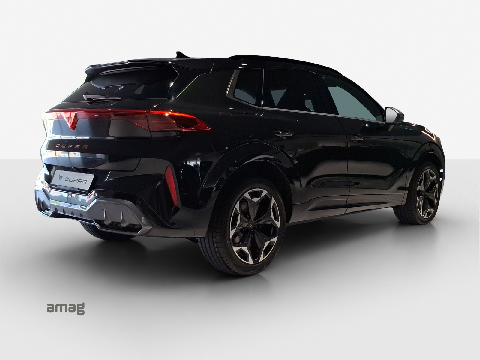 CUPRA Terramar 2.0 TSI DSG 4Drive VZ-image-4