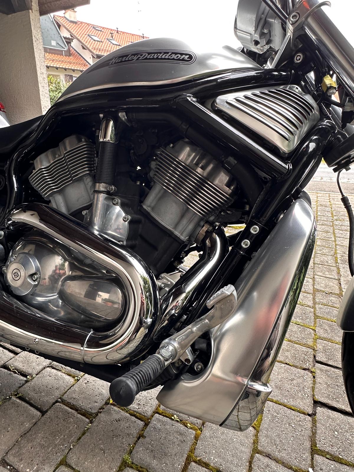 HARLEY-DAVIDSON VRSC-image-4