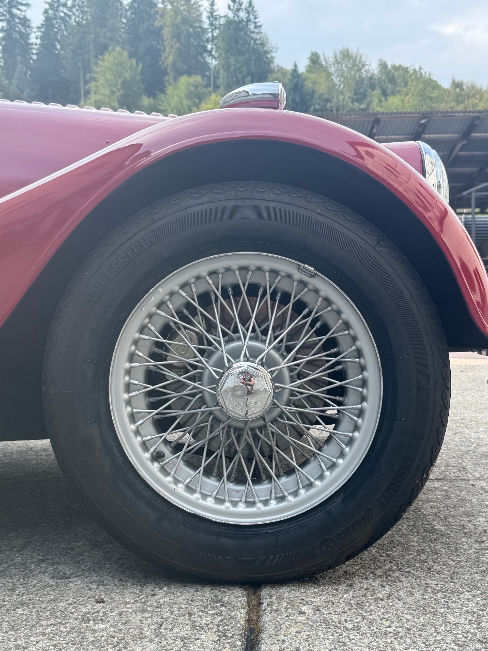 MORGAN-image-15