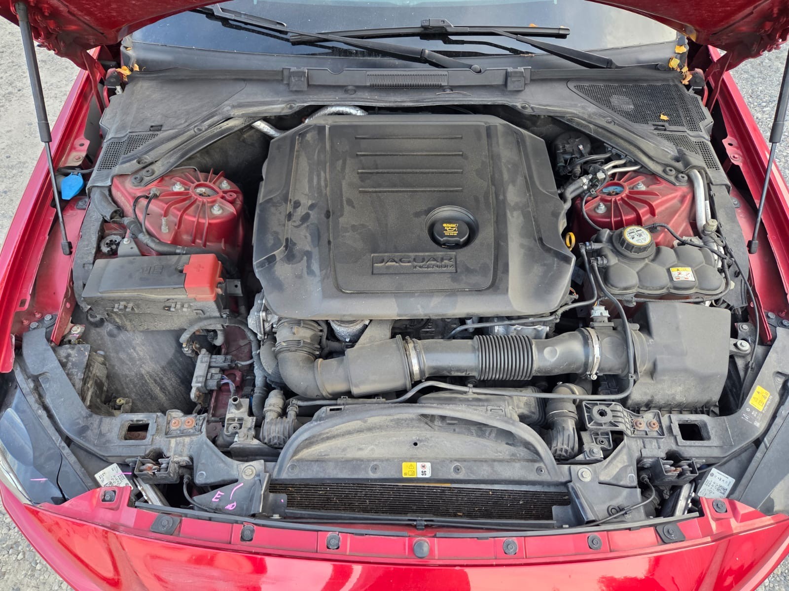 JAGUAR XE 20d R-Sport Automat-image-6