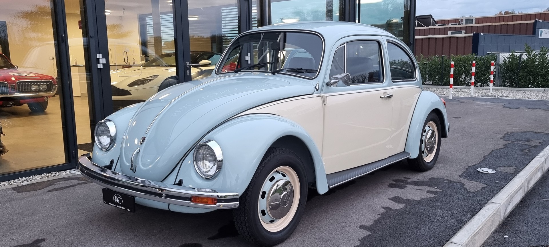 VW 1600 Cox-image-3