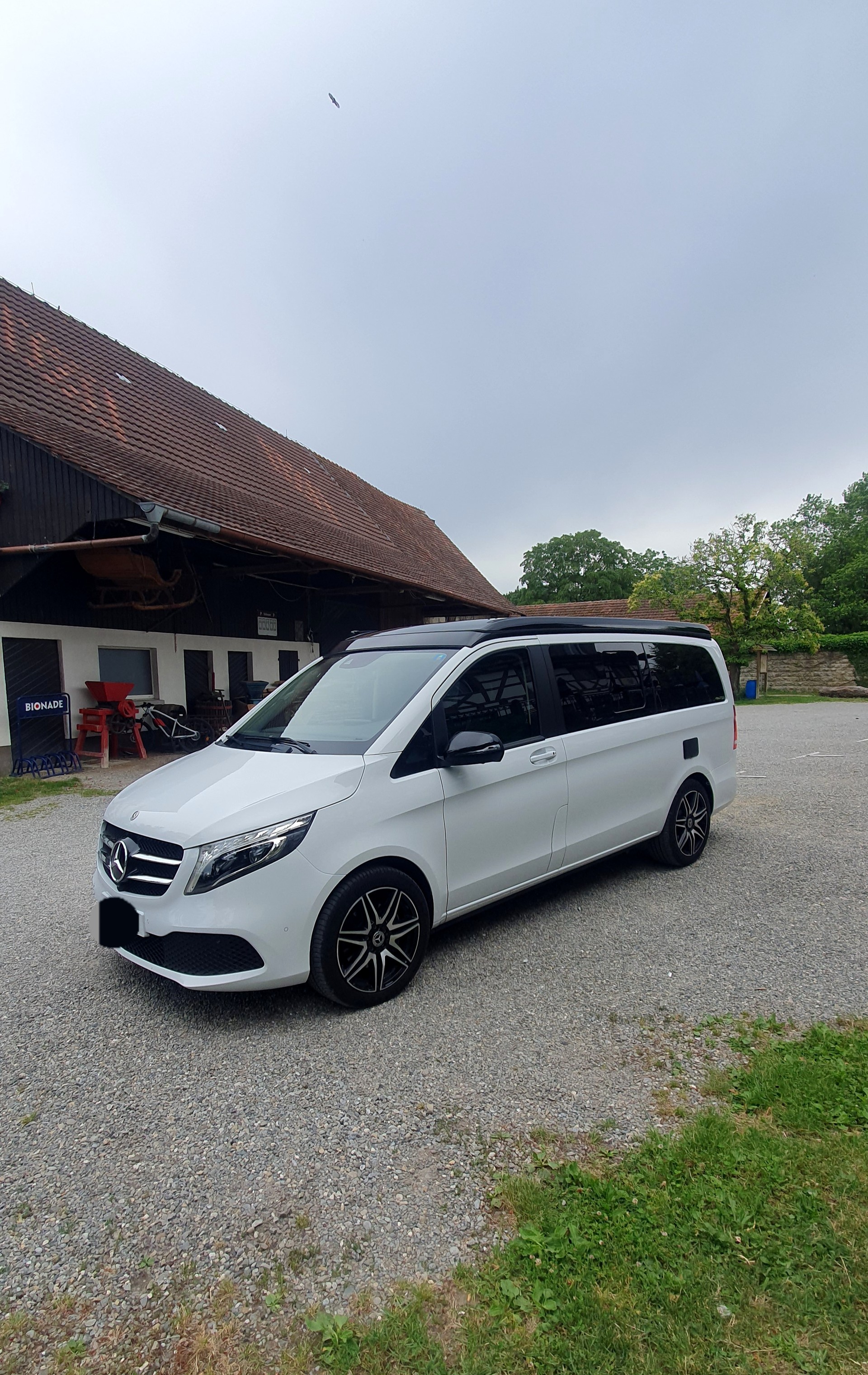 MERCEDES-BENZ Marco Polo 4matic 250d 360° Kamera-image-0