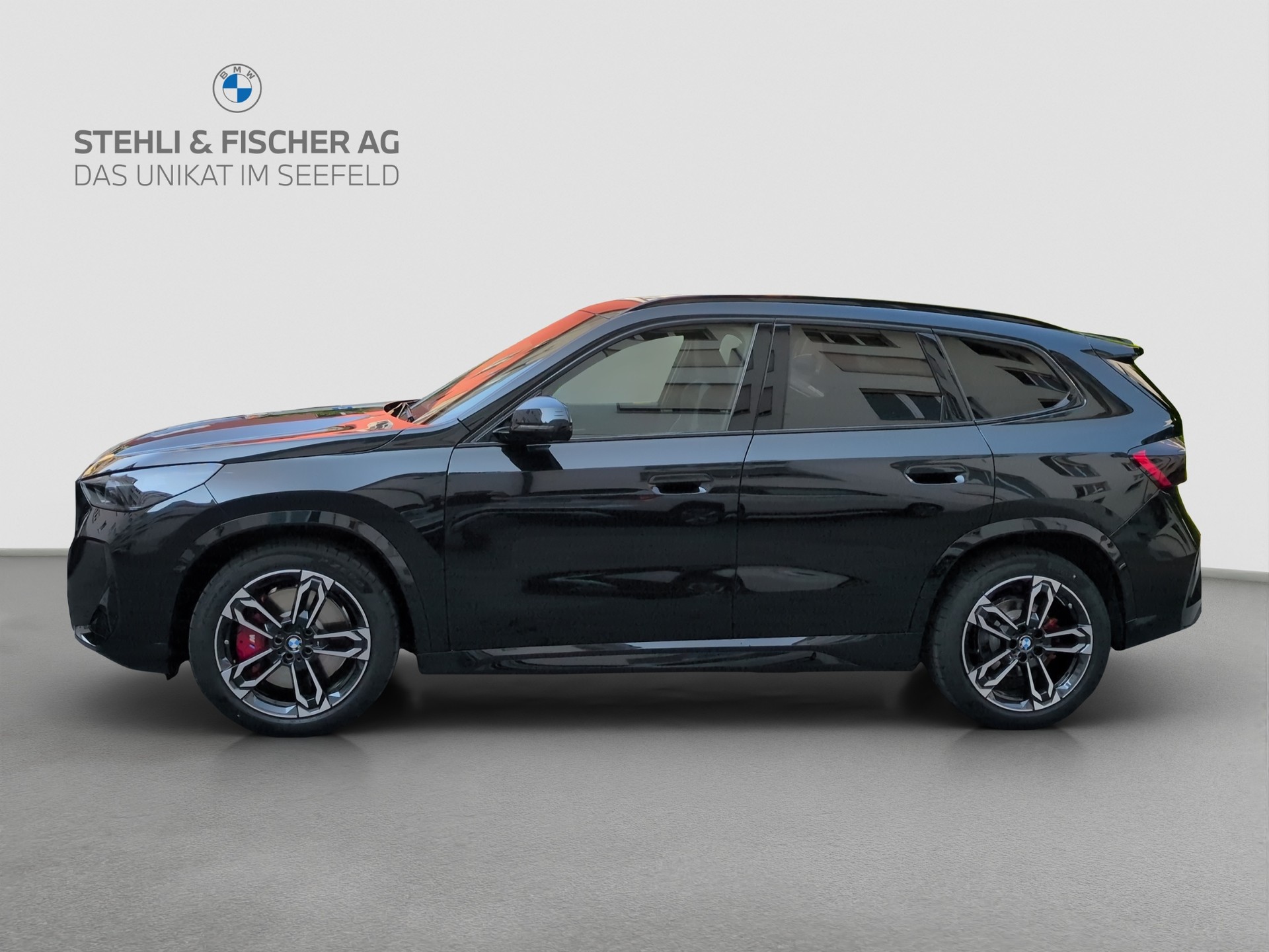 BMW iX1 xDrive 30 M Sport Pro-image-2