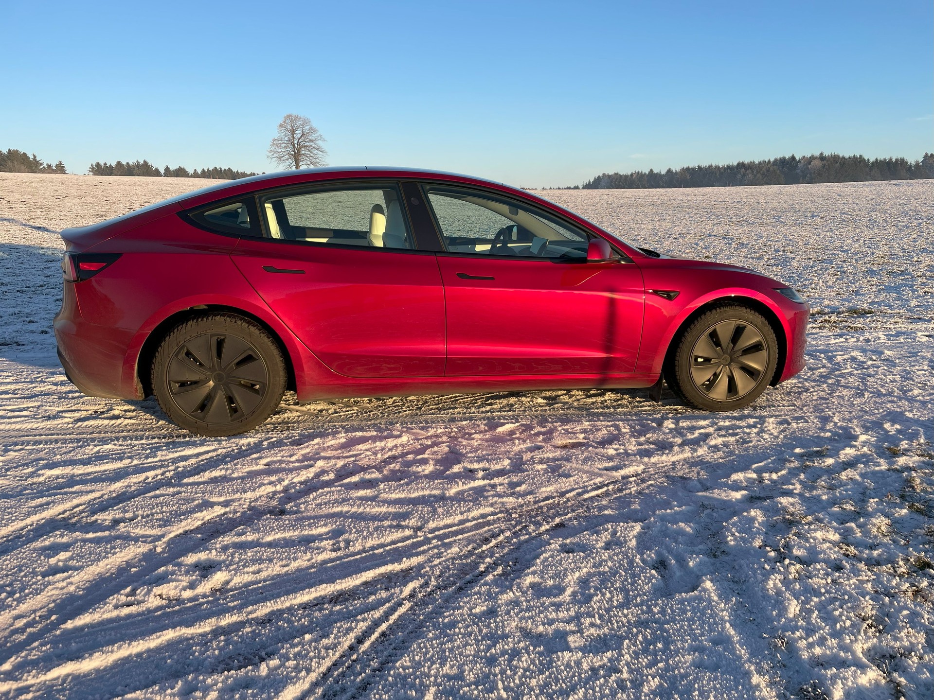 TESLA Model 3 Long Range Dual Motor AWD-image-3