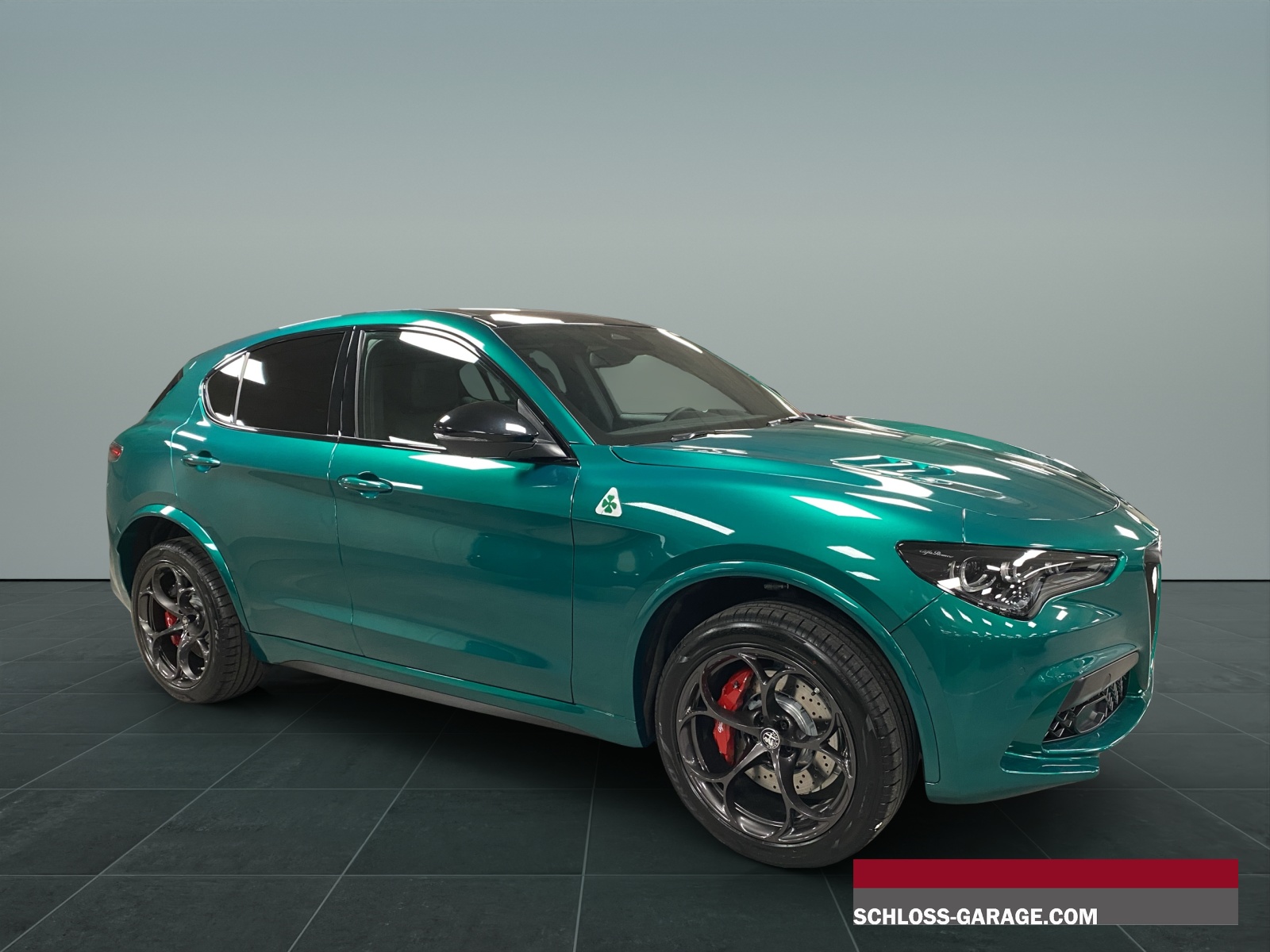 ALFA ROMEO STELVIO 2.9 V6 Biturbo Q4 Q-image-6