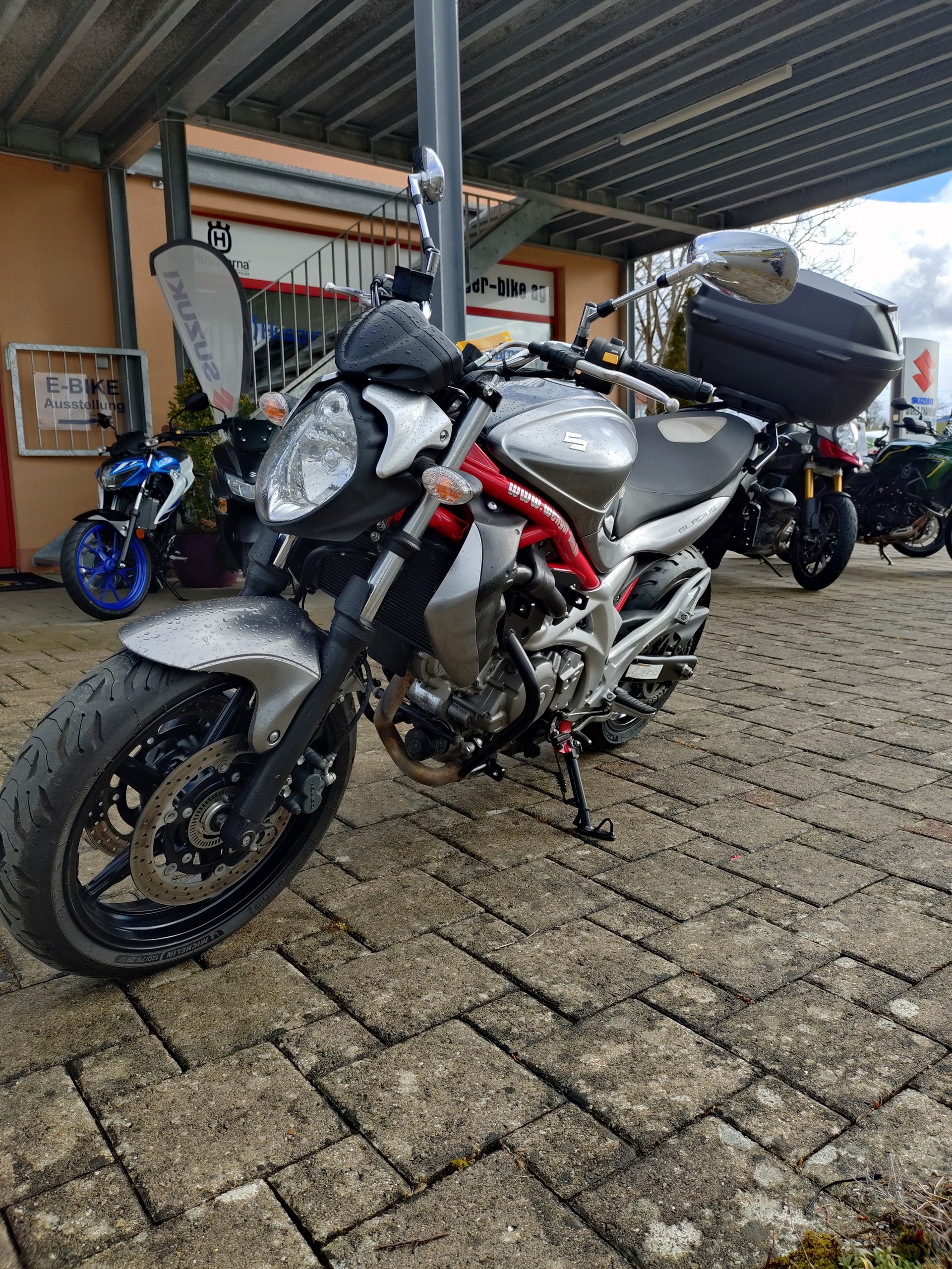 SUZUKI SFV 650 Gladius ABS-image-5
