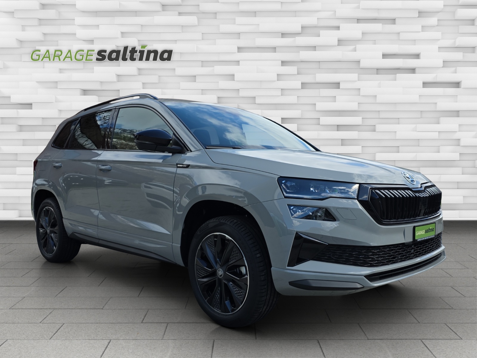 SKODA Karoq 2.0 TSI Dynamic Limited Edition 4x4 DSG-image-3