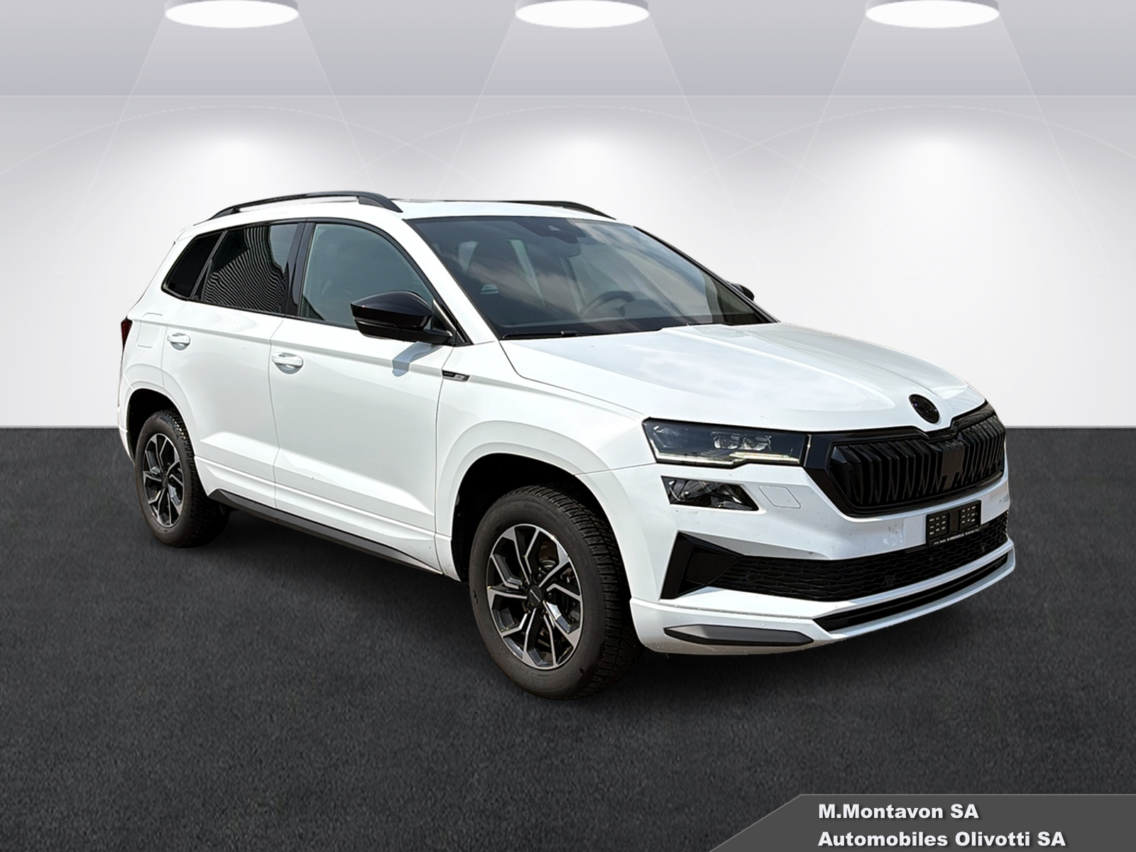 SKODA Karoq 2.0 TSI SportLine 4x4 DSG-image-6