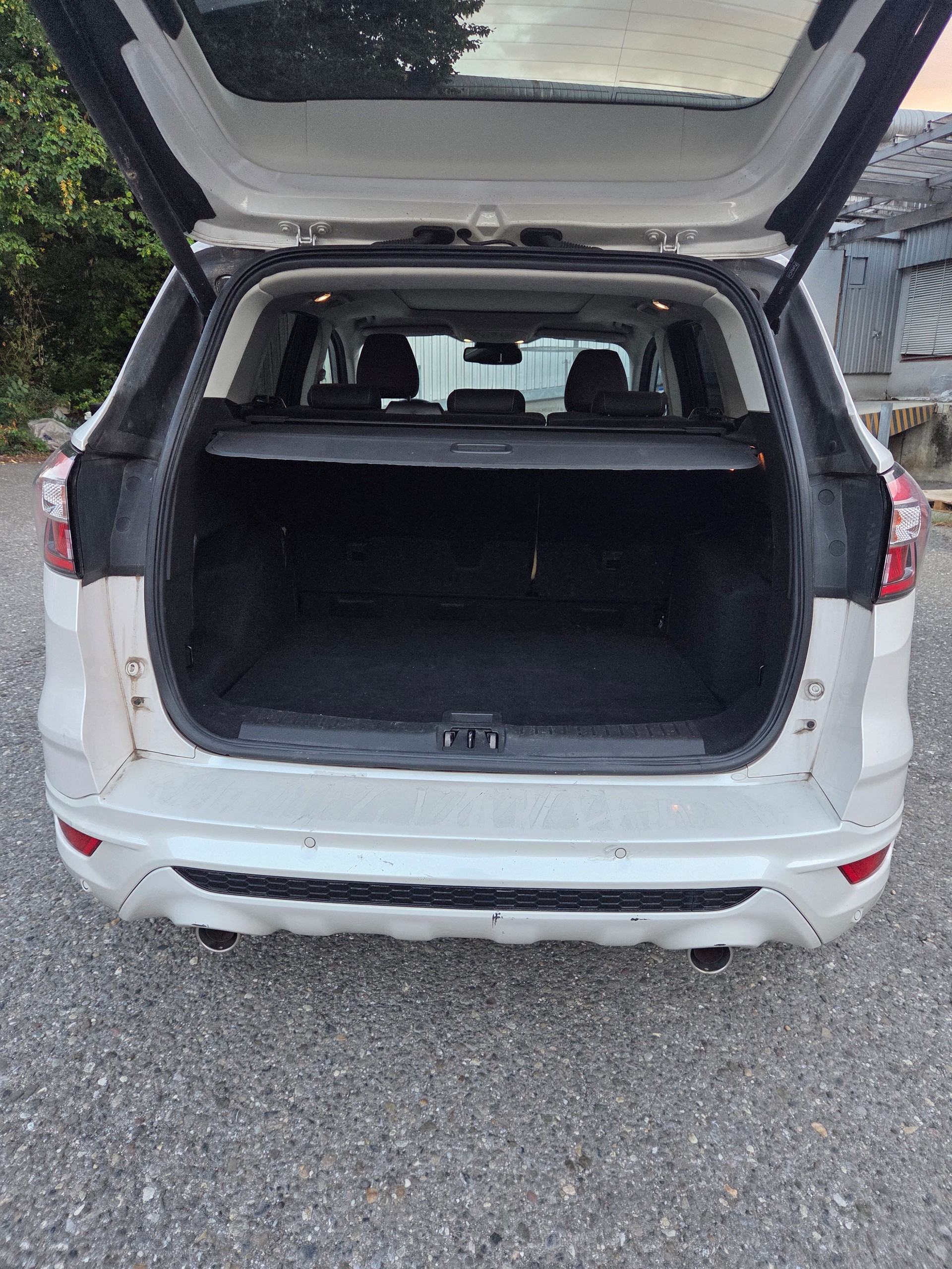 FORD Kuga 2.0 TDCi Vignale 4WD PowerShift-image-6