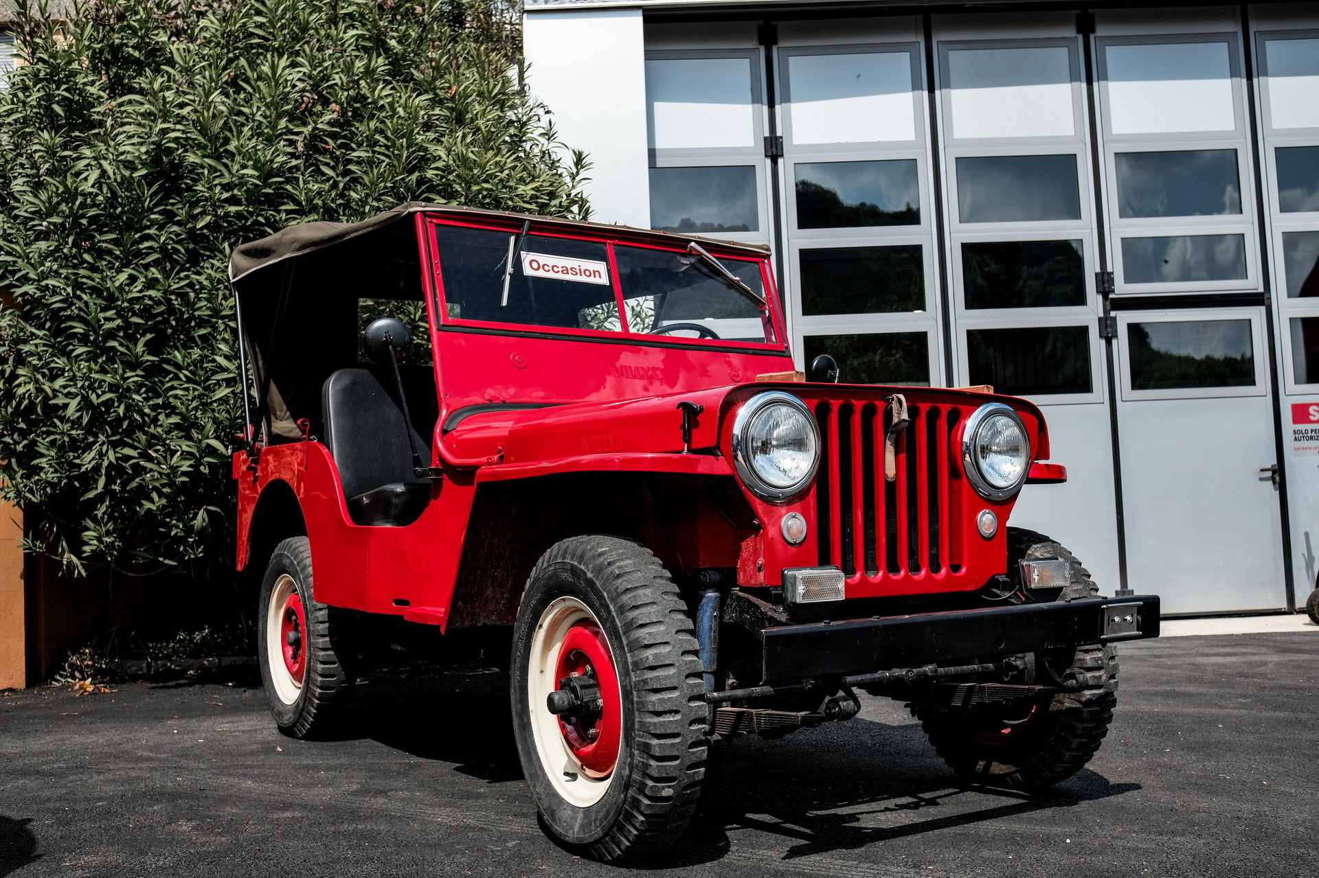 JEEP WILLYS VETTURA D'EPOCA-image-0