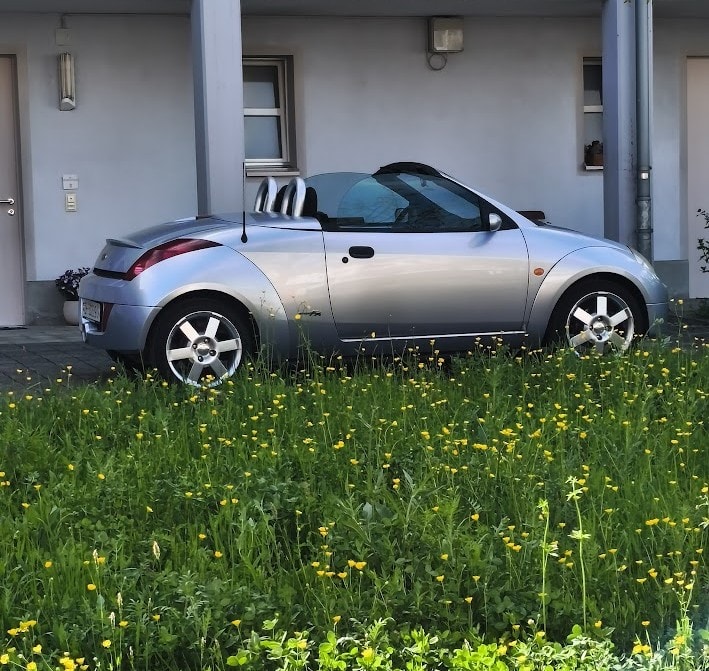 FORD Streetka 1.6, MFK 5.5.26, Fixpreis!-image-11