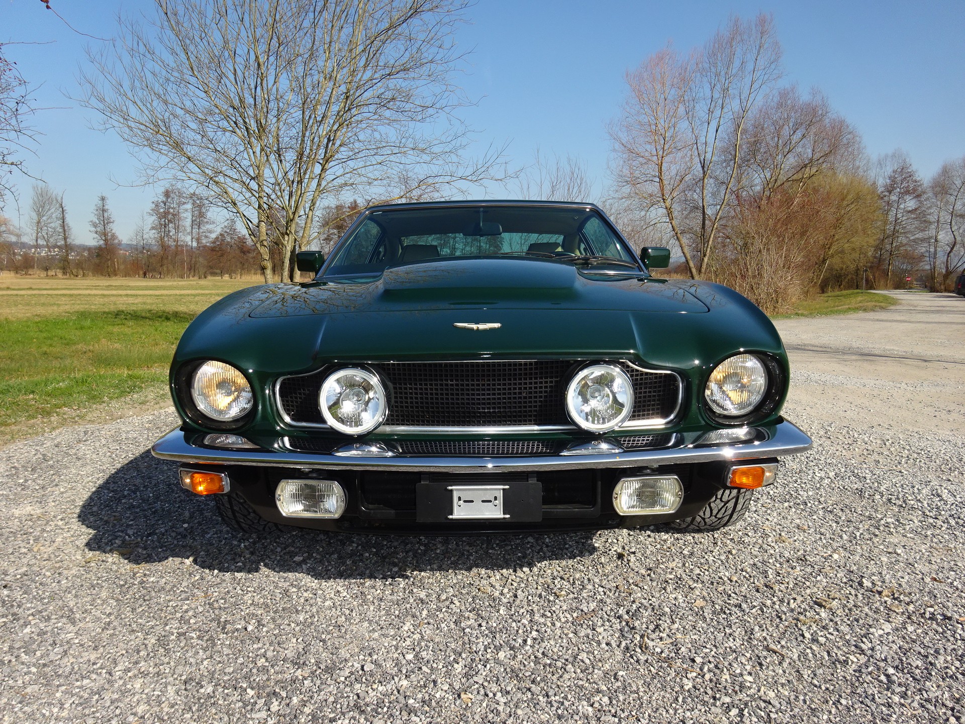ASTON MARTIN V8 OI-image-3