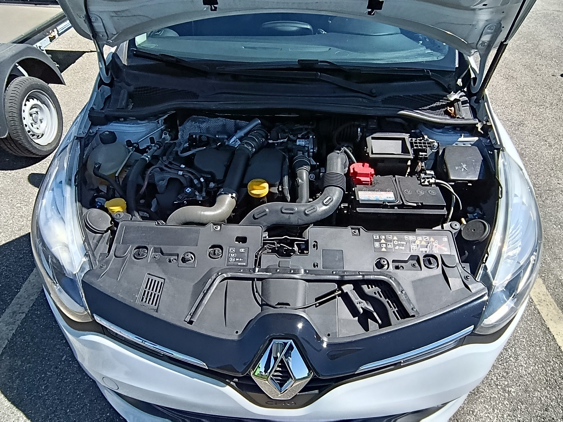 RENAULT Renault Clio Grandtour 1.5 dCi – Frisch MFK 03/2026, 1. Hand, Zahnriemen neu-image-1
