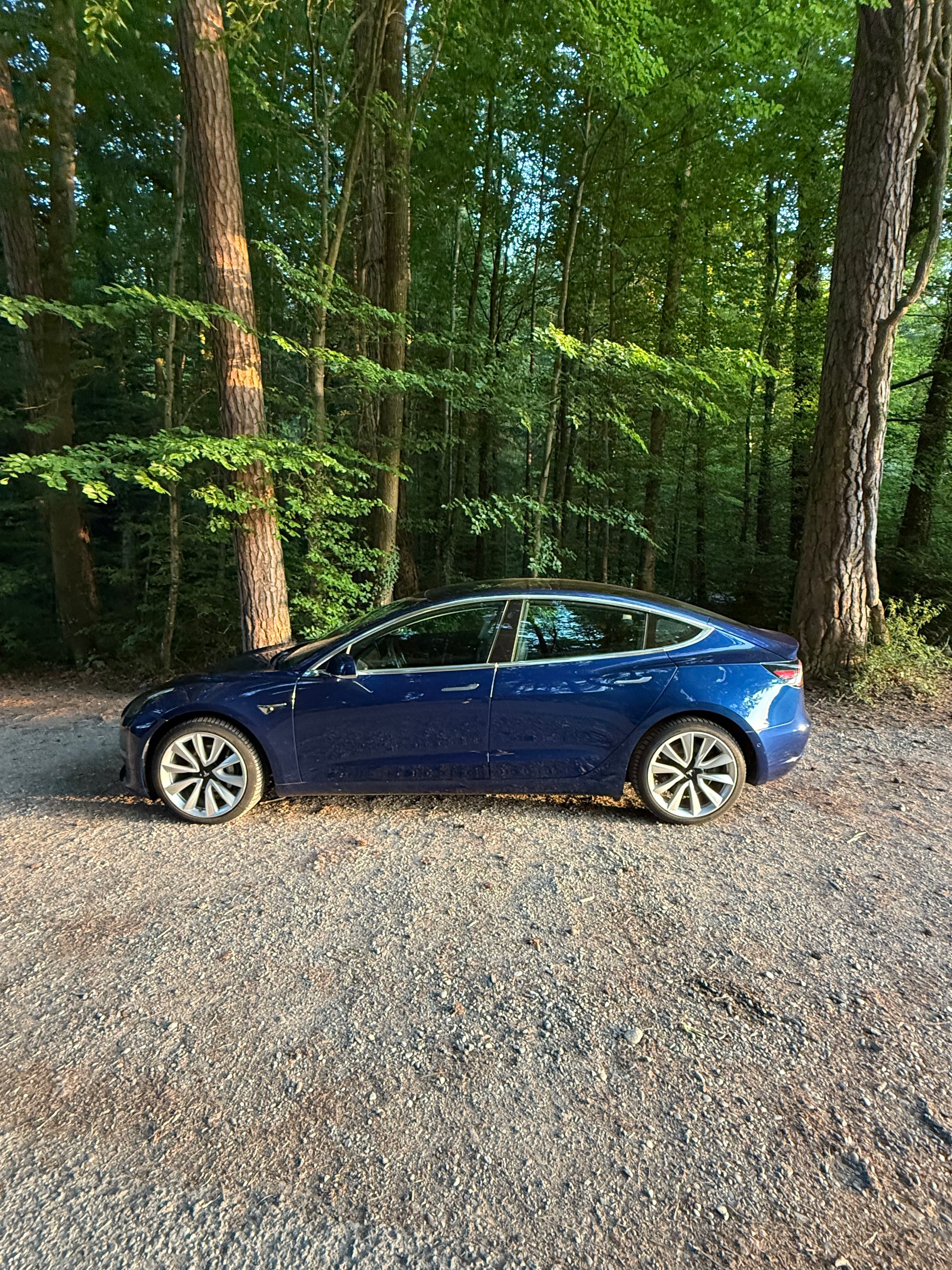 TESLA Long Range D-image-1
