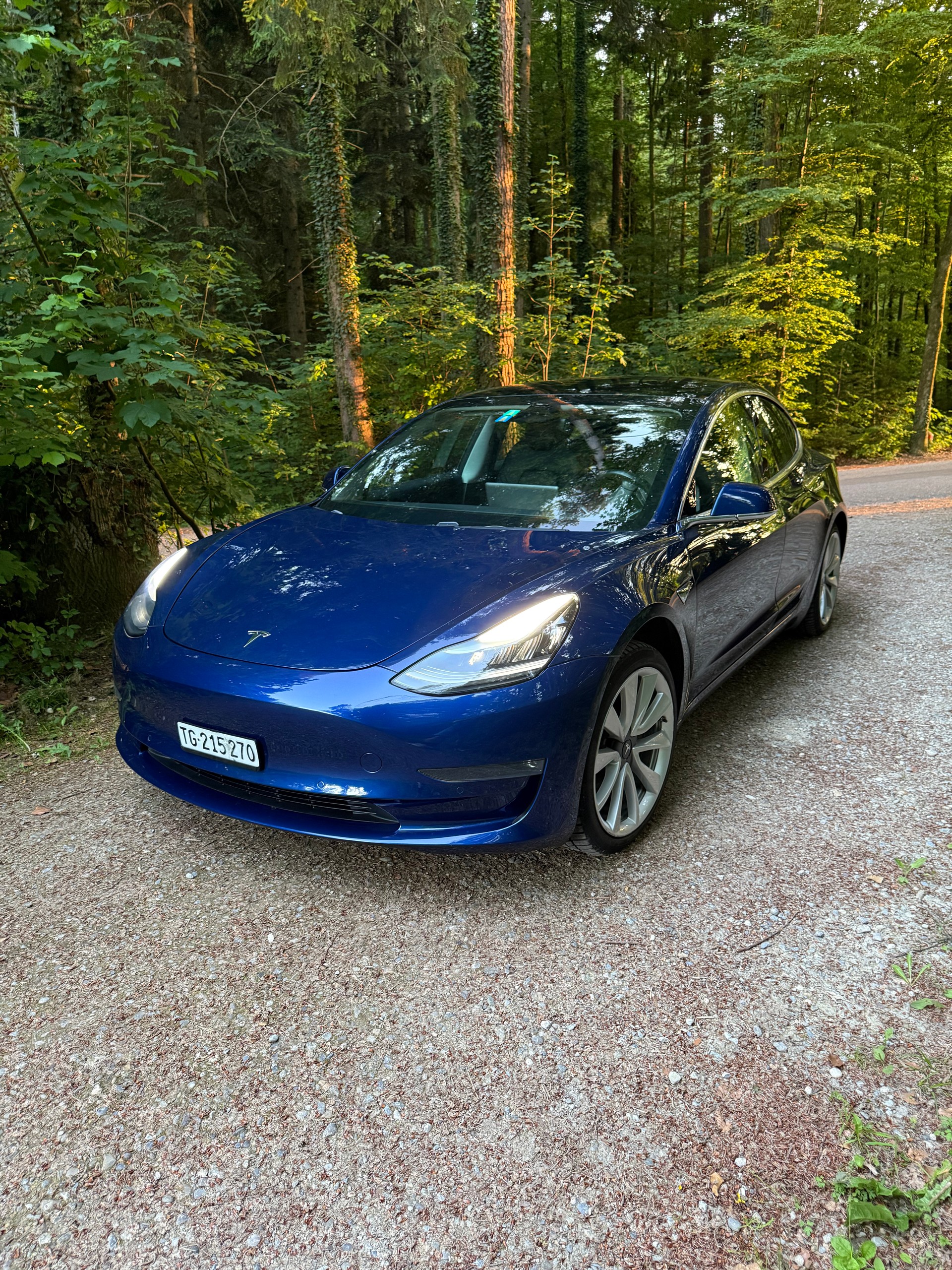 TESLA Long Range D