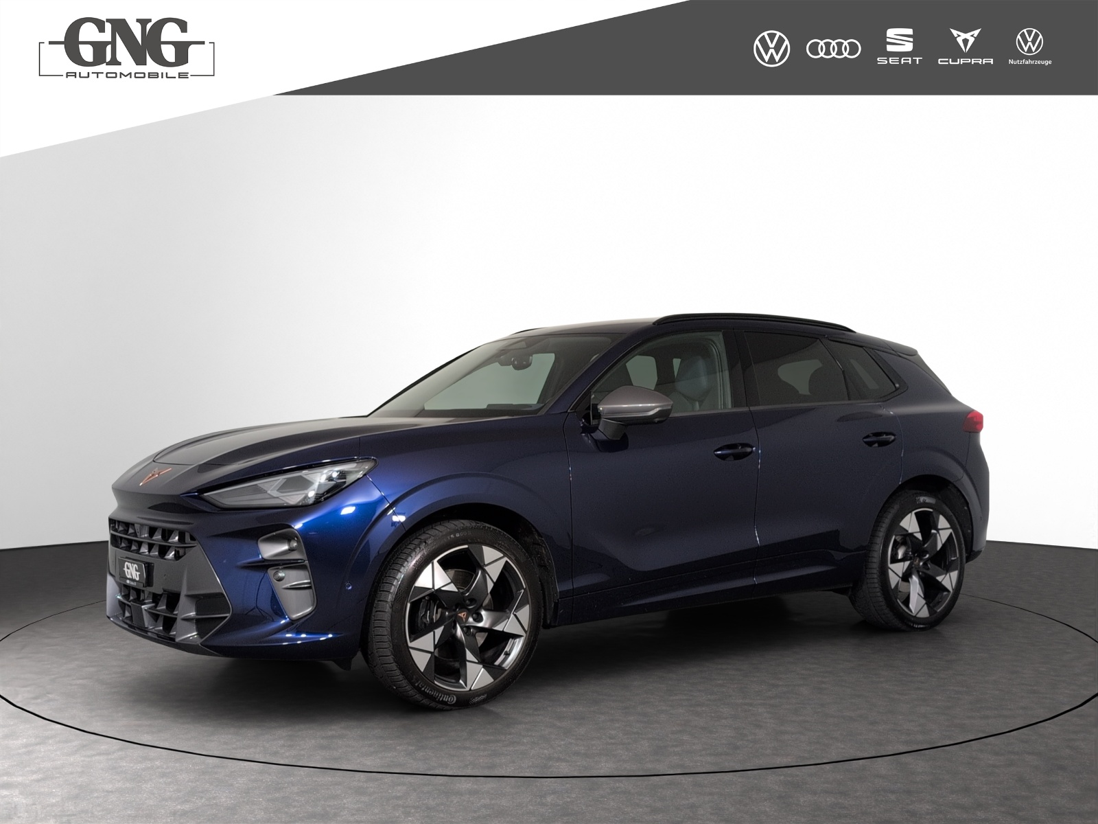 CUPRA Terramar 2.0 TSI DSG 4Drive VZ-image-0