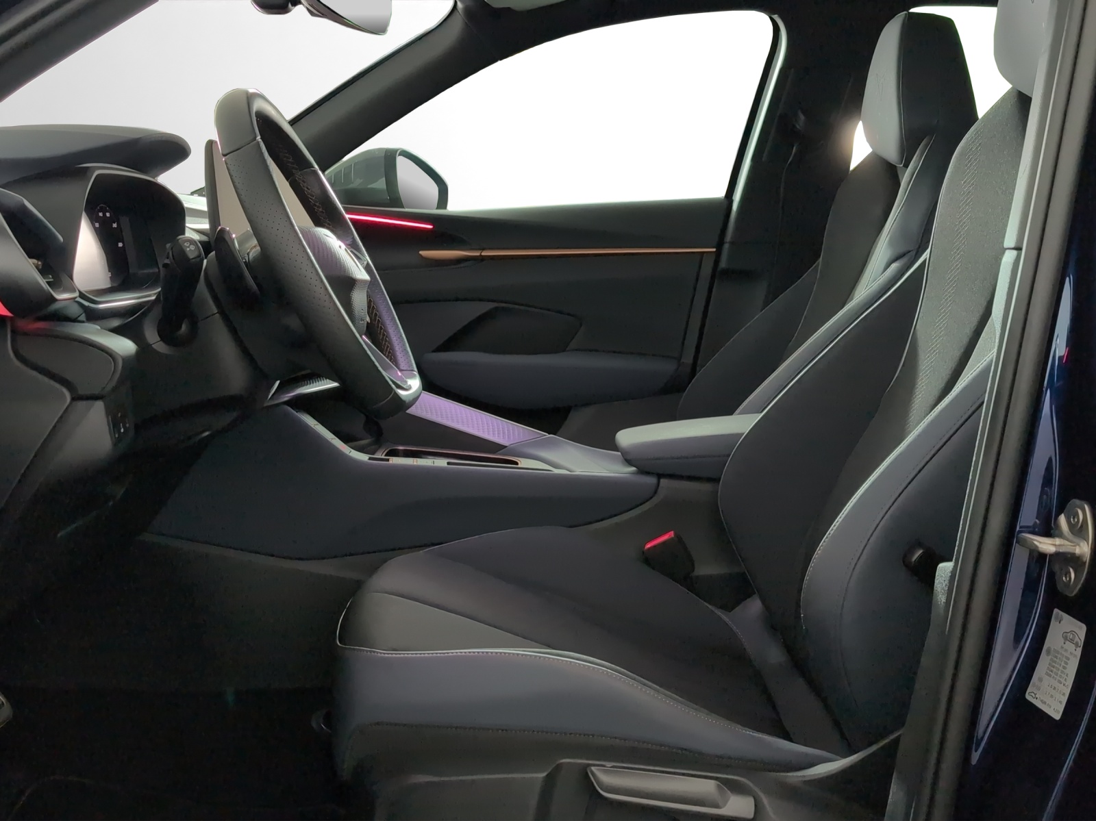 CUPRA Terramar 2.0 TSI DSG 4Drive VZ-image-5