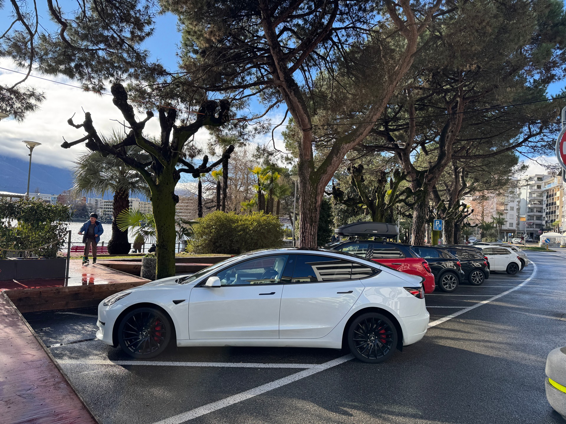 TESLA Performance D-image-1