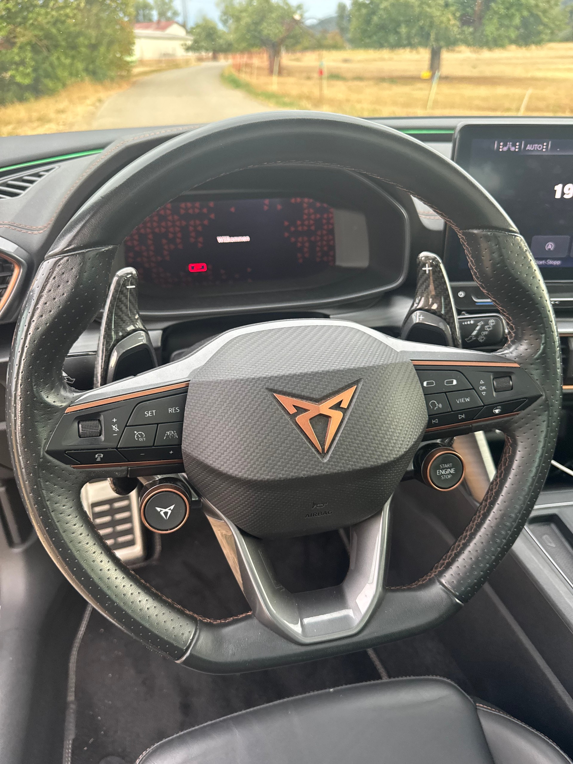 CUPRA LEON ST 2.0 TSI VZ DSG 4Drive-image-12