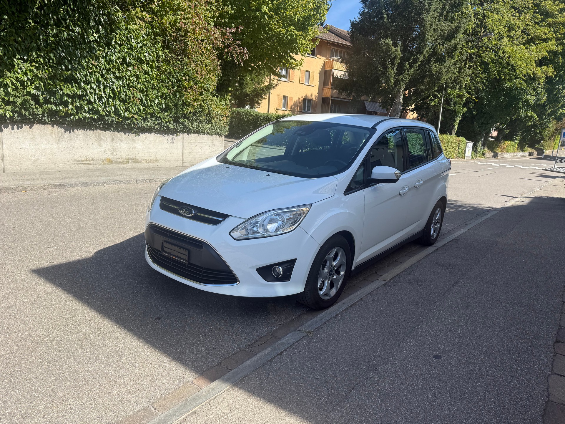 FORD Grand C-Max 1.6 SCTi Carving-image-1
